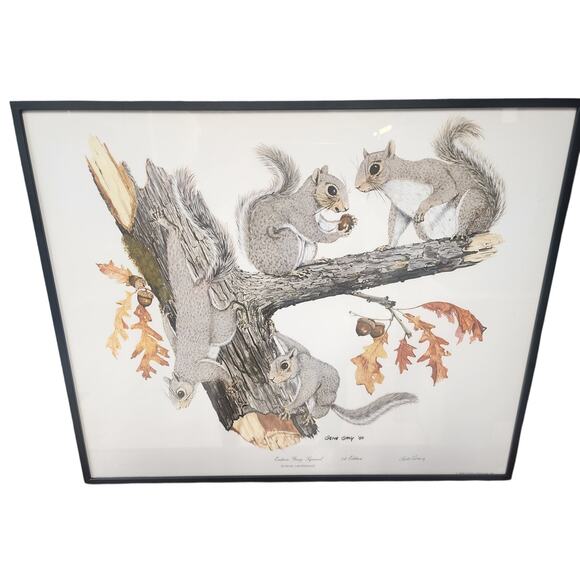 Gene Gray Signed Eastern Gray Squirrel Print 1st Ed Framed 1988 Wildlife Art - Picture 1 of 7
